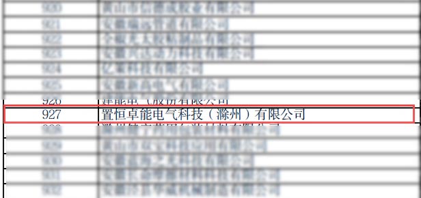 置恒卓能電氣科技(滁州)有限公司被認定為2023年度安徽省“專(zhuān)精特新”企業(yè)